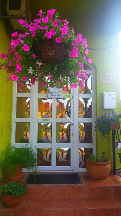 Motel Ioanis Mîndruloc 외부 사진