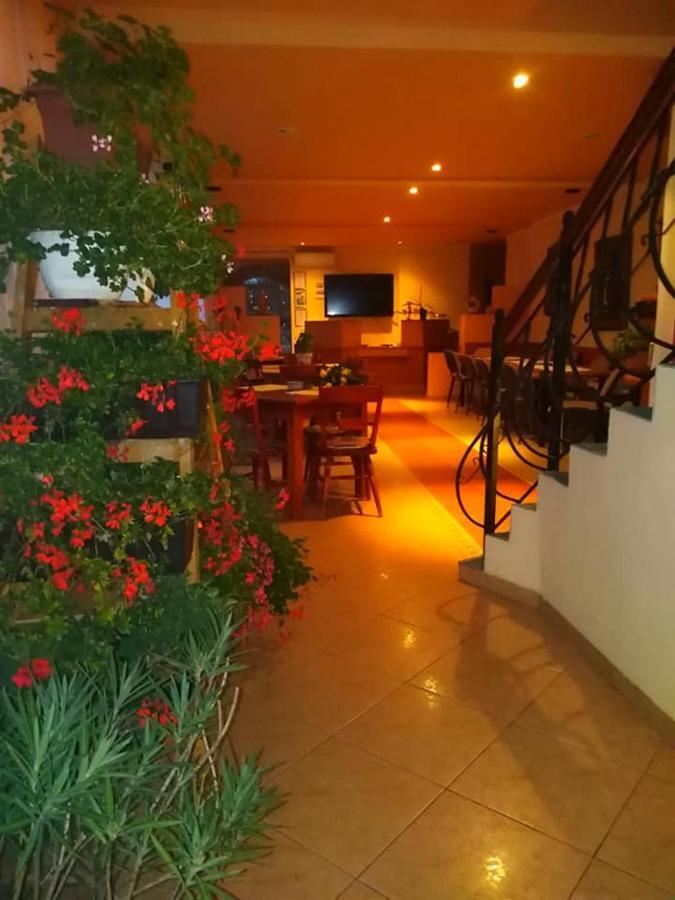 Motel Ioanis Mîndruloc 외부 사진